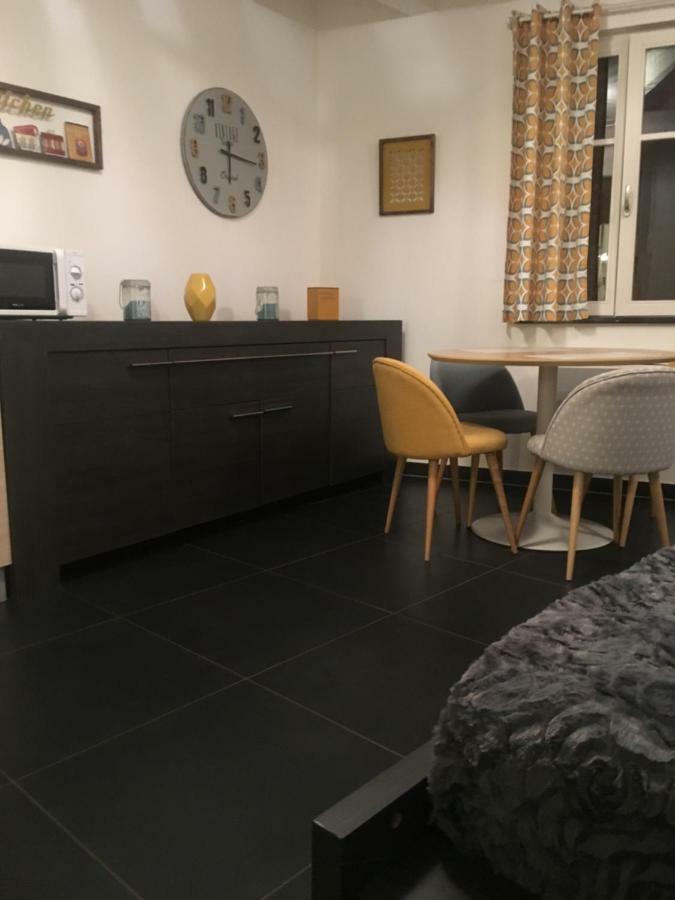 Les Appartements Berthe Molly Colmar Ngoại thất bức ảnh